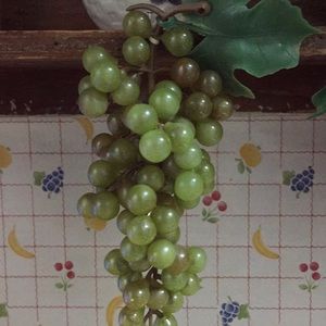 Meet your Posher, Cecilia